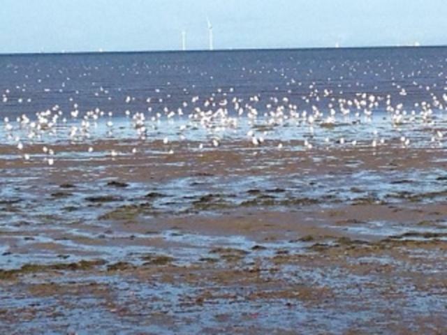 Seaways Cottage Hoylake Zewnętrze zdjęcie
