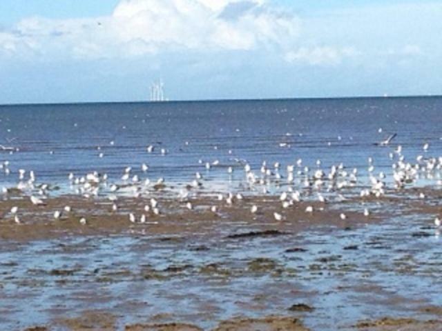 Seaways Cottage Hoylake Zewnętrze zdjęcie